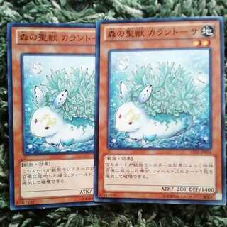 森の聖獣 カラントーサ ノーマル2枚