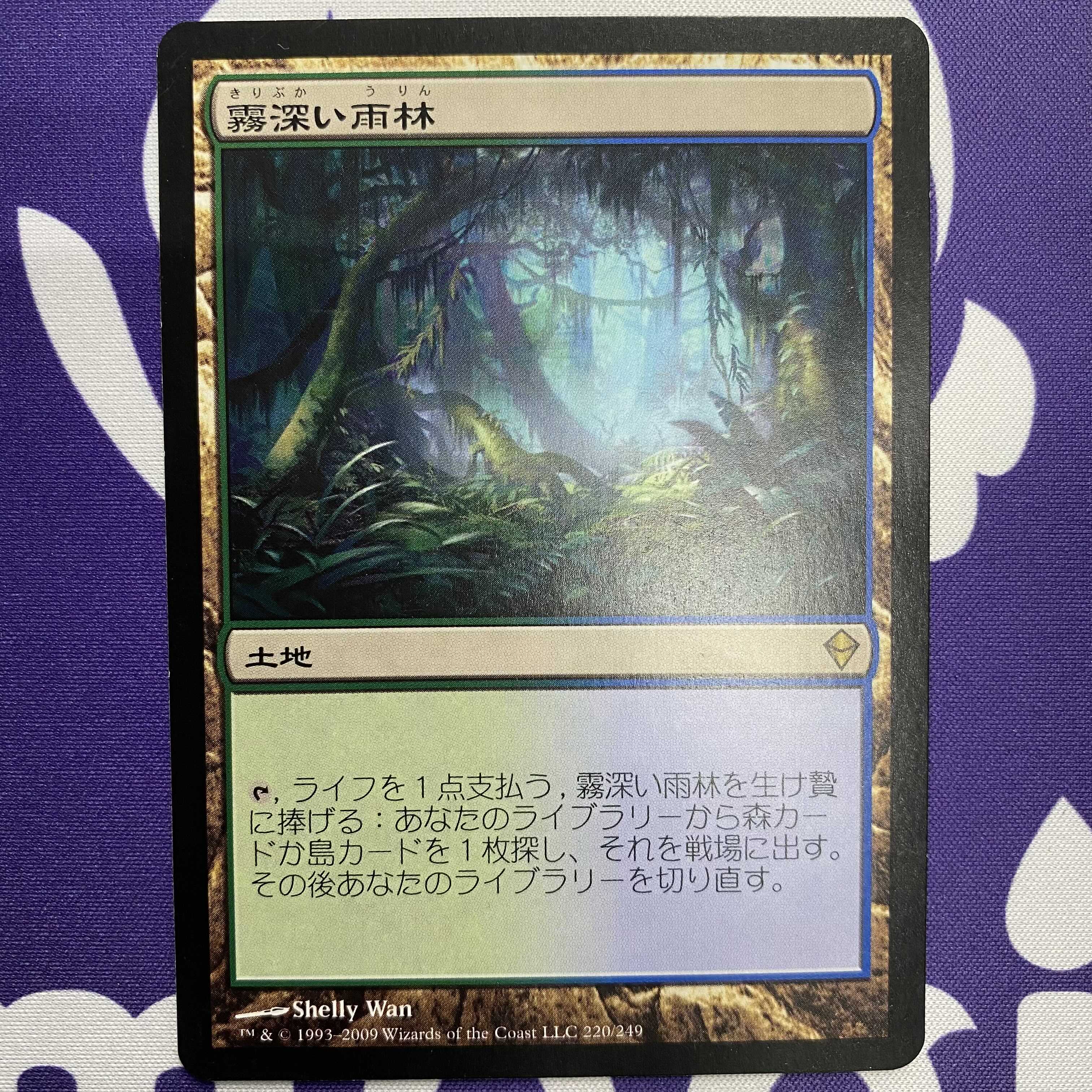 夜陰明神　Foil　神河物語　mtg　ギャザリング MTG 稀有！神河物語 夜陰明神FOIL中国語 簡体語 NM！