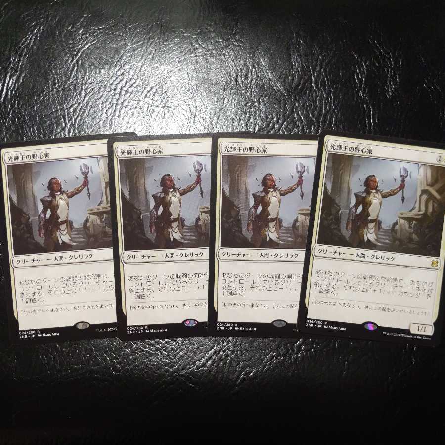 光輝王の野心家 4枚