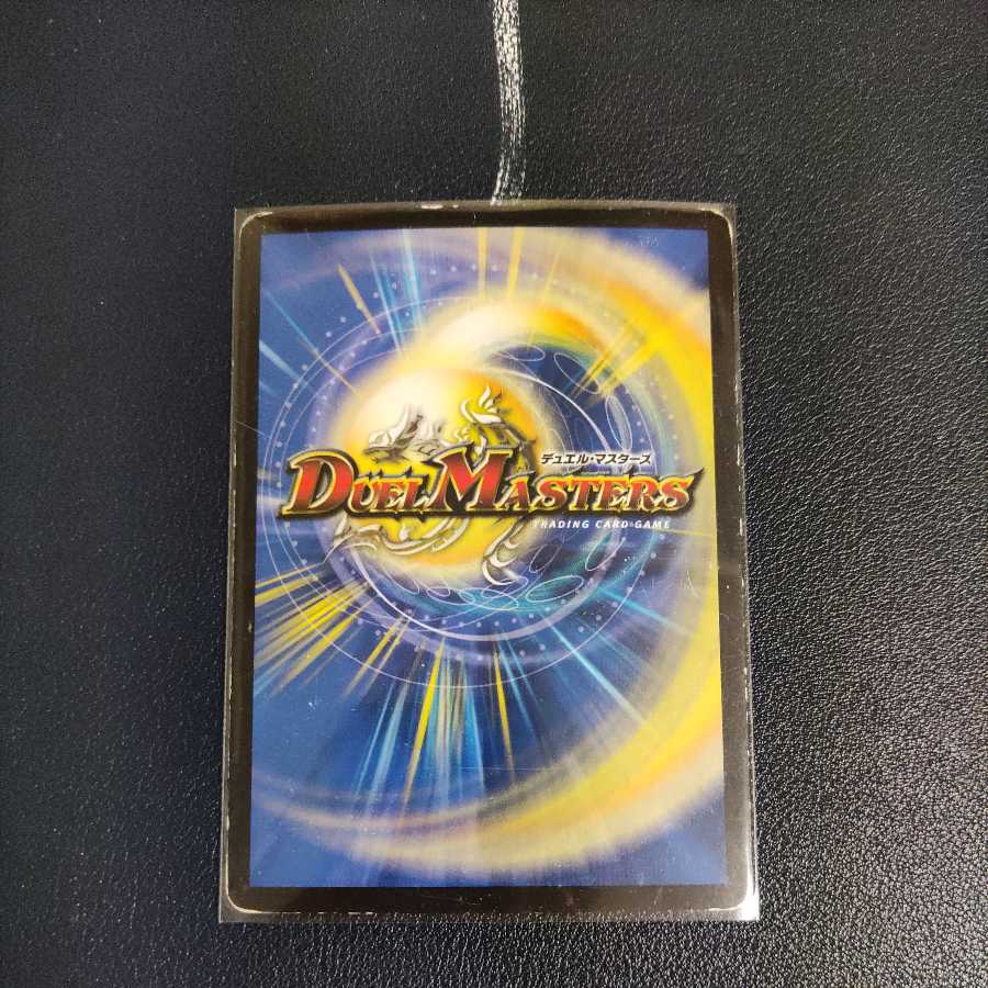 1時間限りの傷あり超大特価 水上第九院 シャコガイル