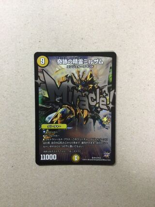 奇跡の精霊ミルザム