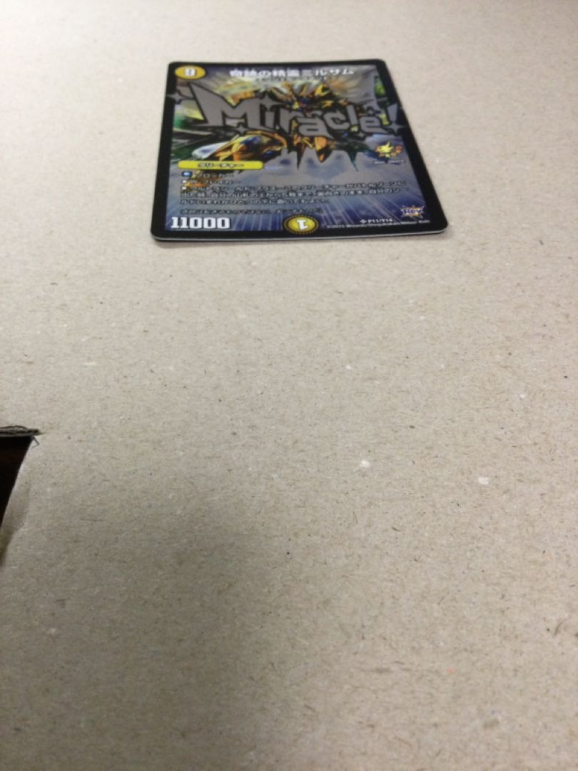 奇跡の精霊ミルザム