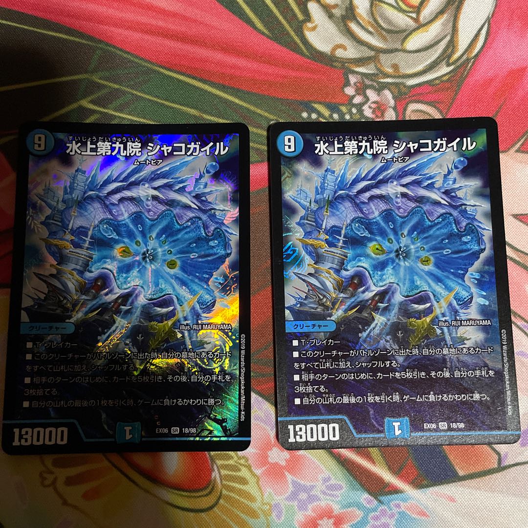 水上第九院 シャコガイル