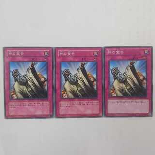 243 神の宣告 3枚 鮭イクラ商店