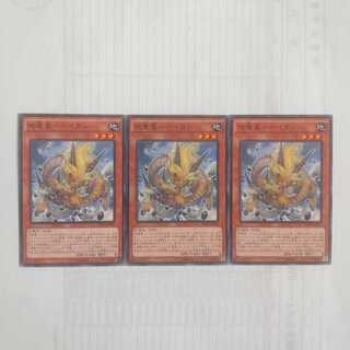 245 地竜星-ヘイカン 3枚 鮭イクラ商店