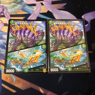 闘争類拳嘩目 ステゴロ・カイザー｜お清めシャラップ