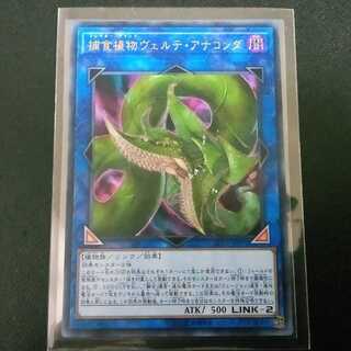 捕食植物ヴェルテ・アナコンダ[ウルトラ1枚]