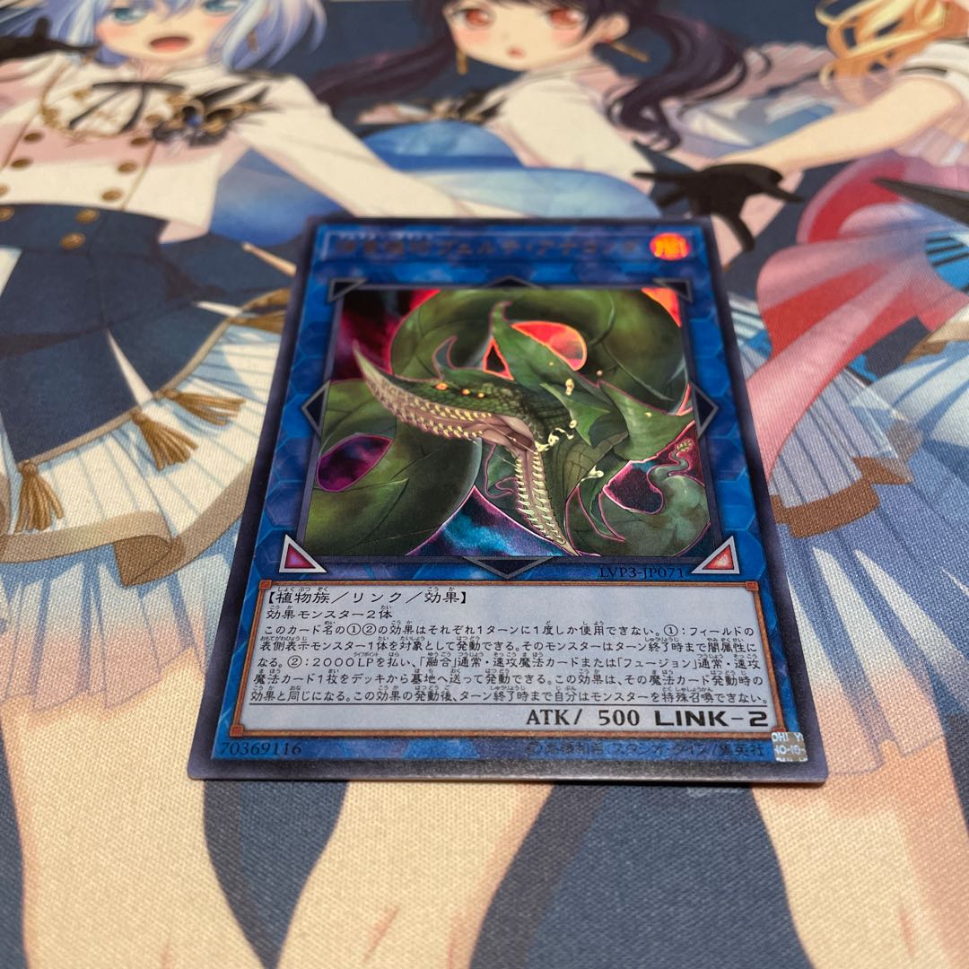 捕食植物ヴェルテ・アナコンダ ウルトラレア