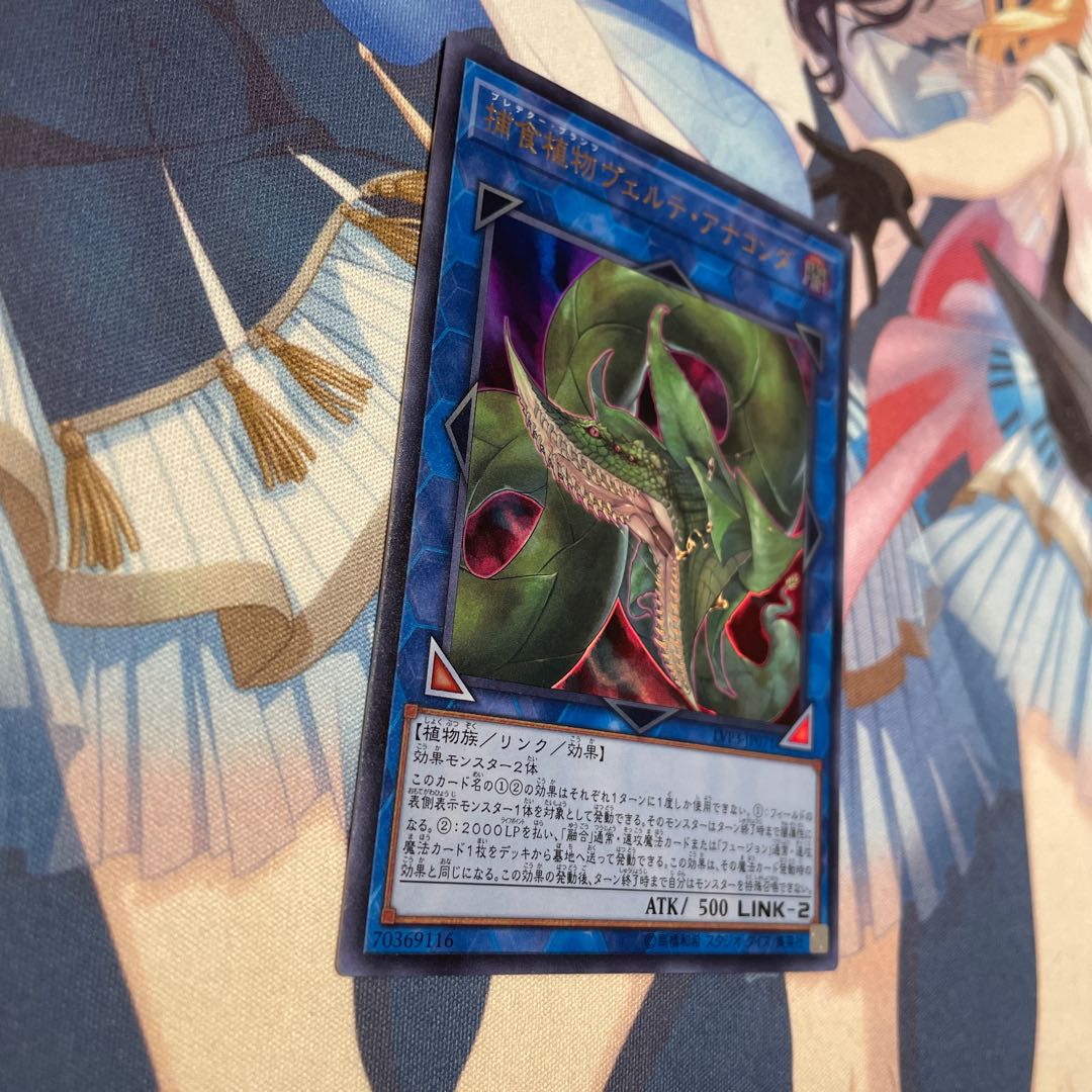 捕食植物ヴェルテ・アナコンダ ウルトラレア