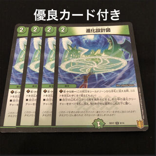 進化設計図 R-foil