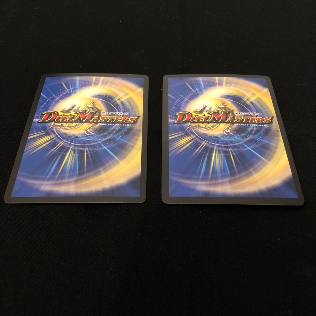 進化設計図 R-foil