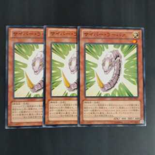 サイバー・ラーバァ✕３ ノーマル　　【木林堂】