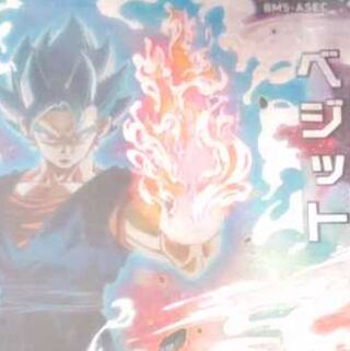 ベジット シク BM 5 ASEC