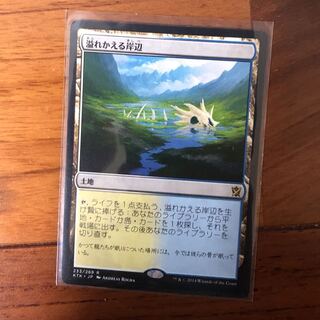 溢れかえる岸辺