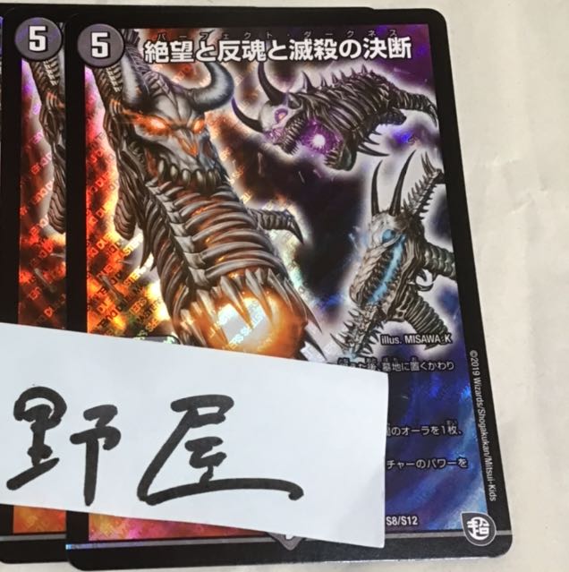 2枚　パーフェクトダークネス