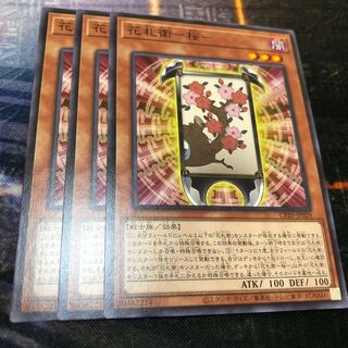 Hanafudae - Cherry Blossoms