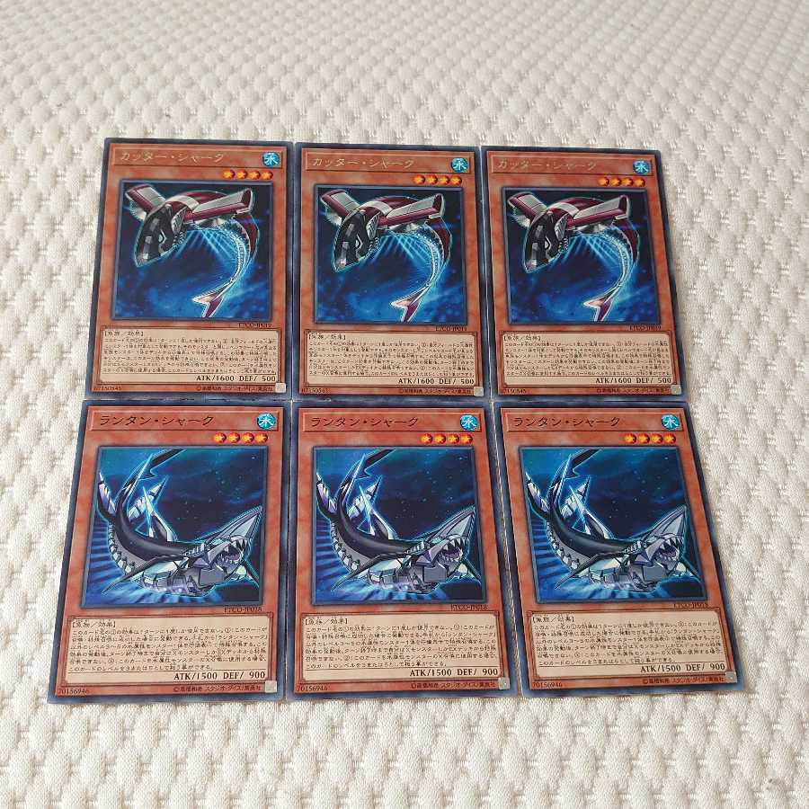 カッター・シャーク　ランタン・シャーク