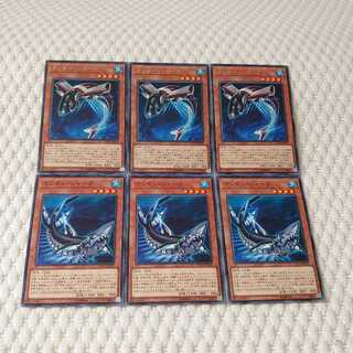 カッター・シャーク　ランタン・シャーク