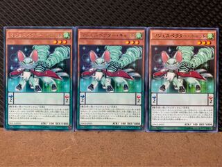 【ぽぽたん】遊戯王 8202 マジェスペクター・キャット 3枚 レア