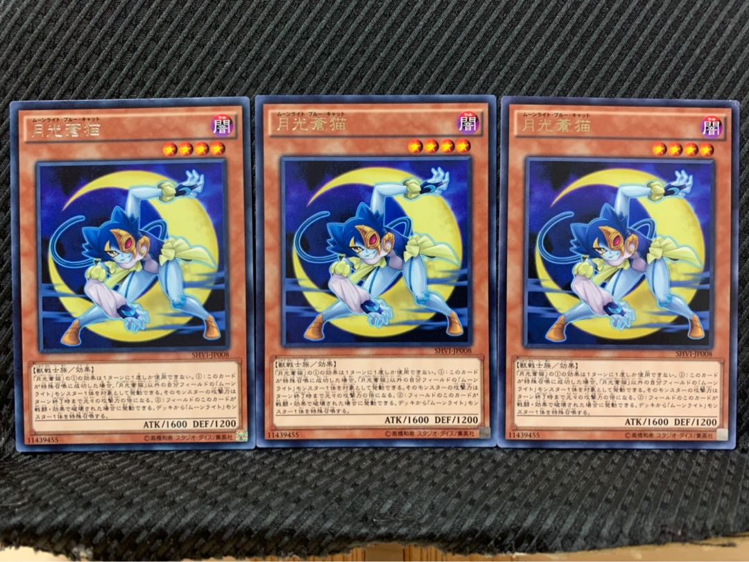 【ぽぽたん】遊戯王 8051 月光蒼猫 3枚 レア