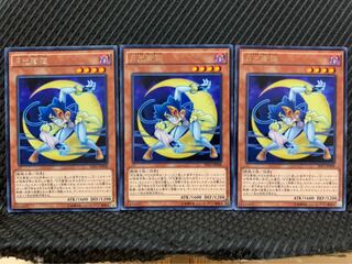【ぽぽたん】遊戯王 8051 月光蒼猫 3枚 レア