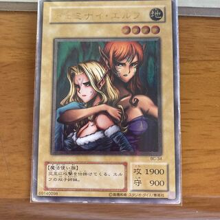 Dzeminai Elf Early Sikh