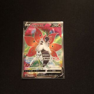 美品　ウルガモスV SR