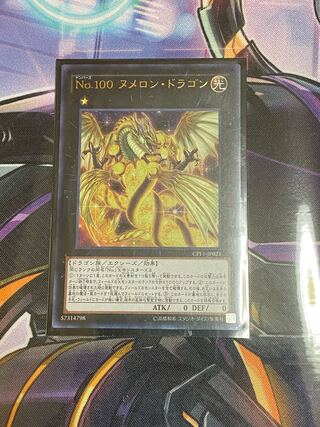 No.100 ヌメロン・ドラゴン ウルトラレア
