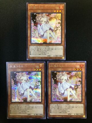 灰流うらら　3枚セット　SE