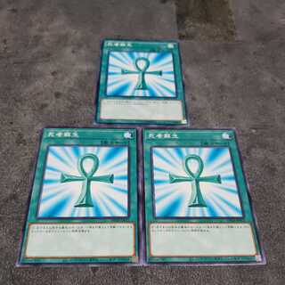 死者蘇生 ノーマル 遊戯王 虎ふぐ