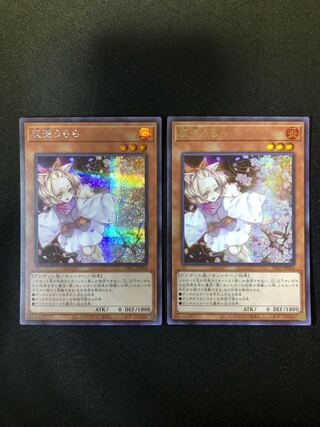 灰流うらら　2枚セット　SE