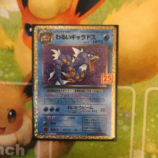 わるいギャラドス 25th