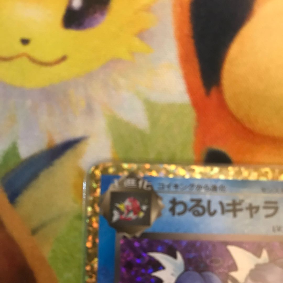 わるいギャラドス 25th