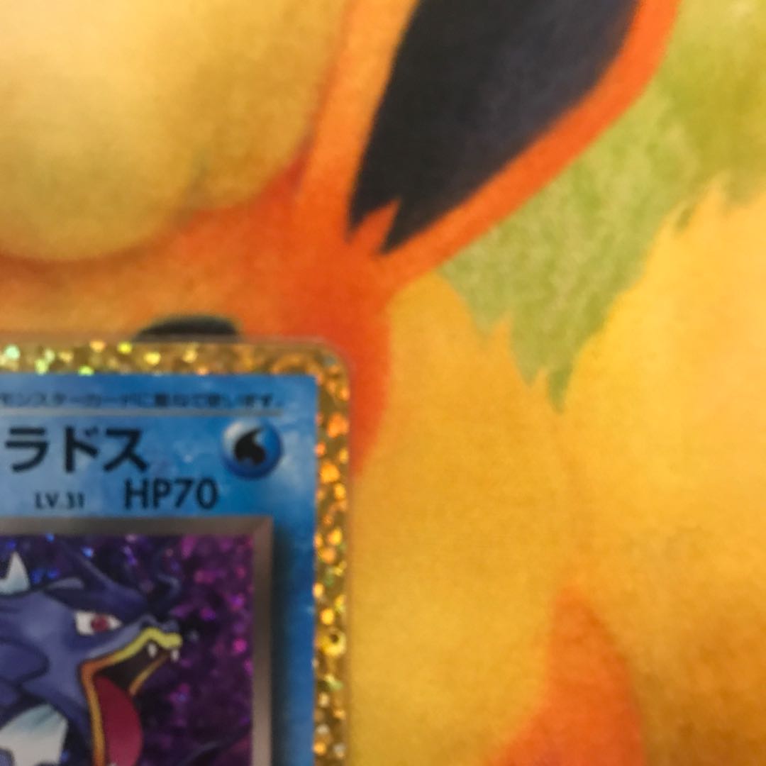 わるいギャラドス 25th