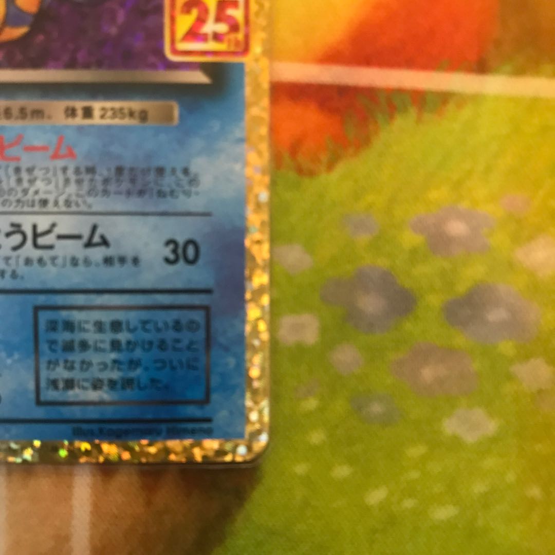 わるいギャラドス 25th