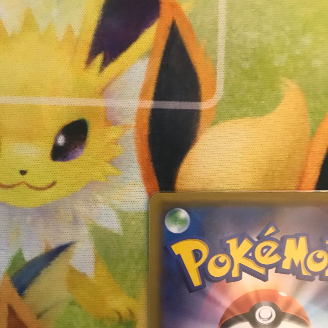 わるいギャラドス 25th