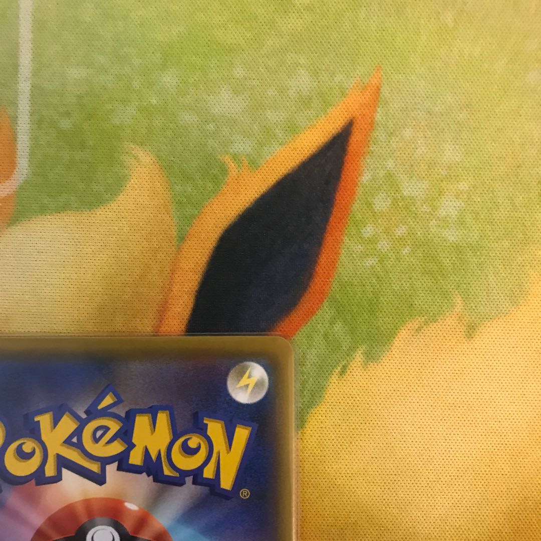 わるいギャラドス 25th