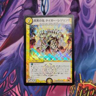 真実の名 タイガー・レジェンド　1枚