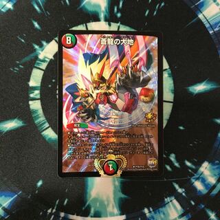 総統様専用 1枚