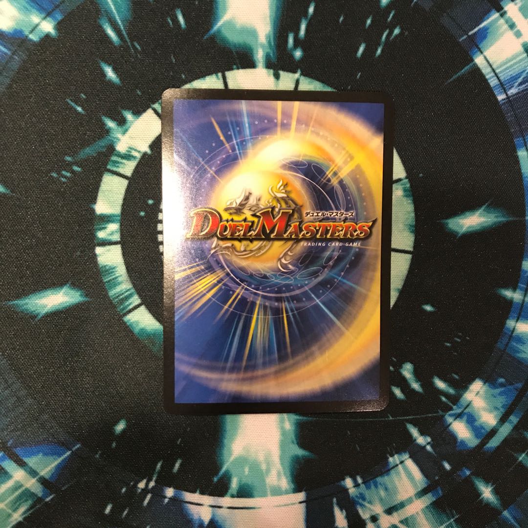 総統様専用 1枚