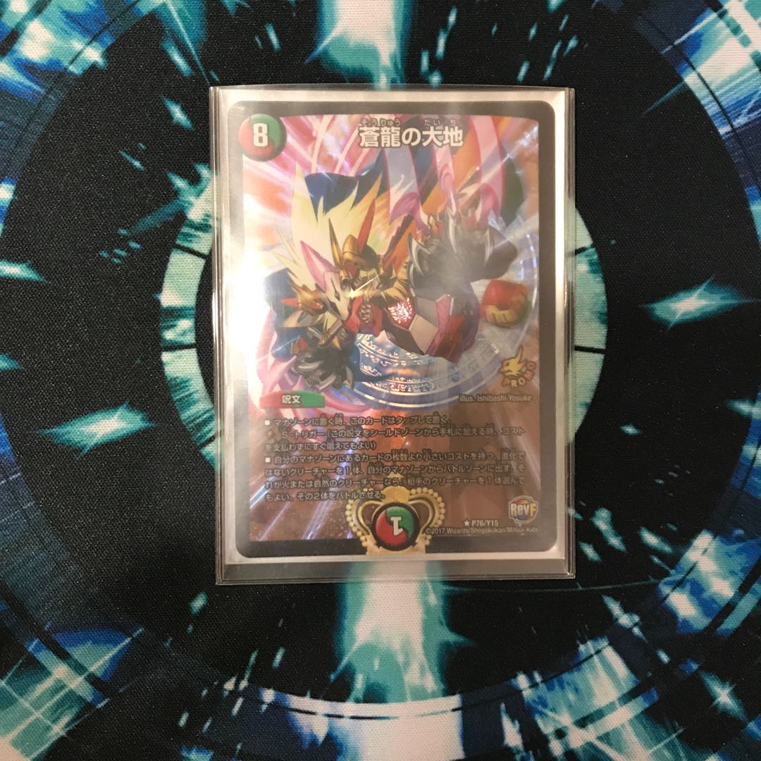 総統様専用 1枚