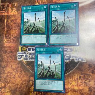 遊戯王★竜の霊廟★ノーマル三枚★