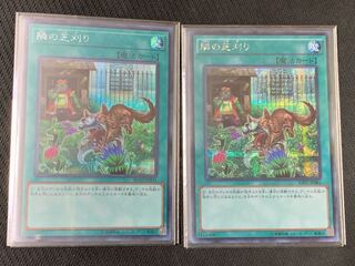 隣の芝刈り シークレットレア