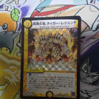 真実の名 タイガー・レジェンド VR