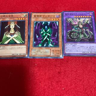 捕食植物ドラゴスタペリア