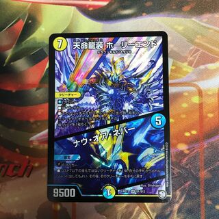 天命龍装ホーリーエンド