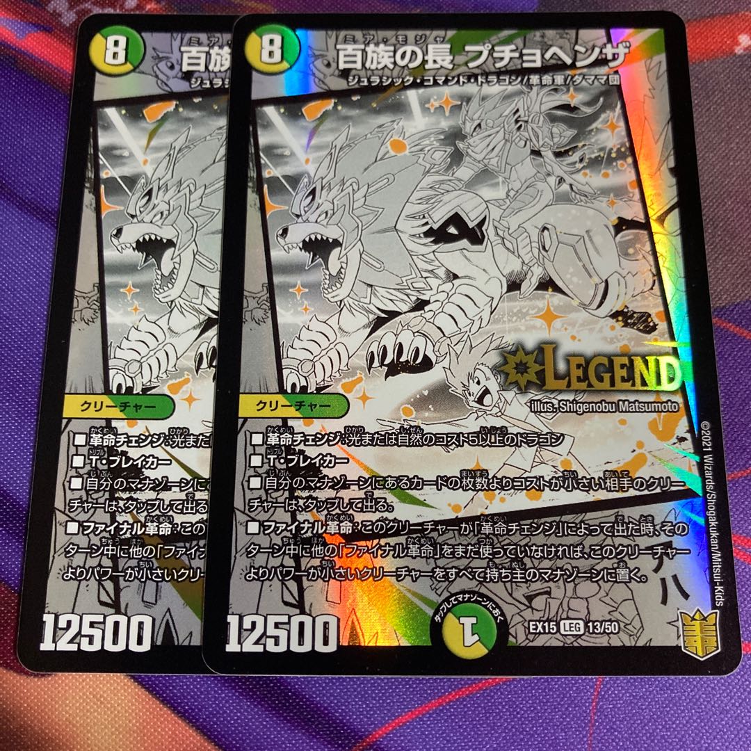 百族の長 プチョヘンザ