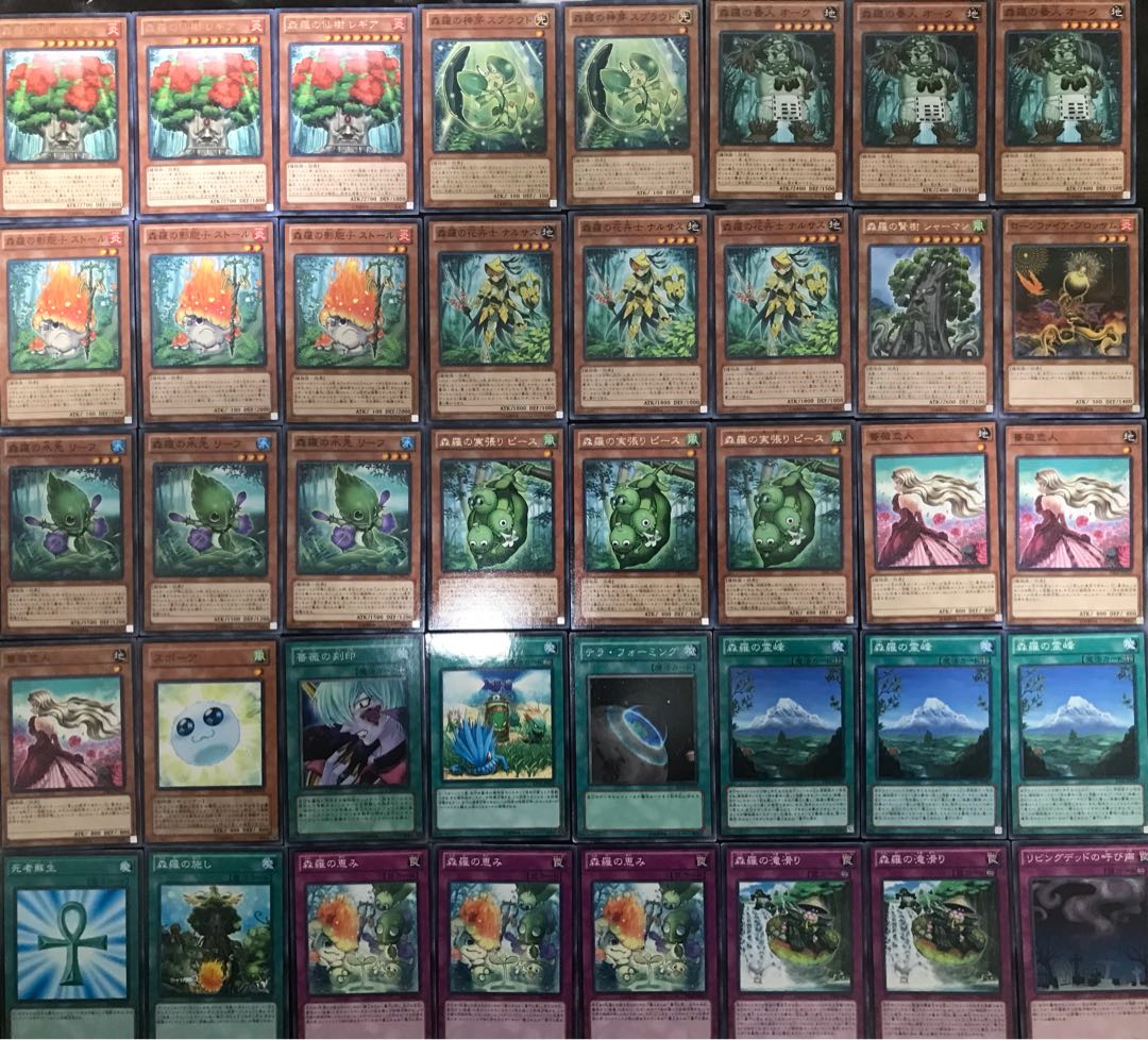 遊戯王 森羅 デッキ 40枚+EX15枚
