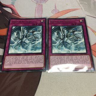 【韓国】　強靭無敵最強　レア