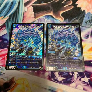 水上第九院 シャコガイル　2枚